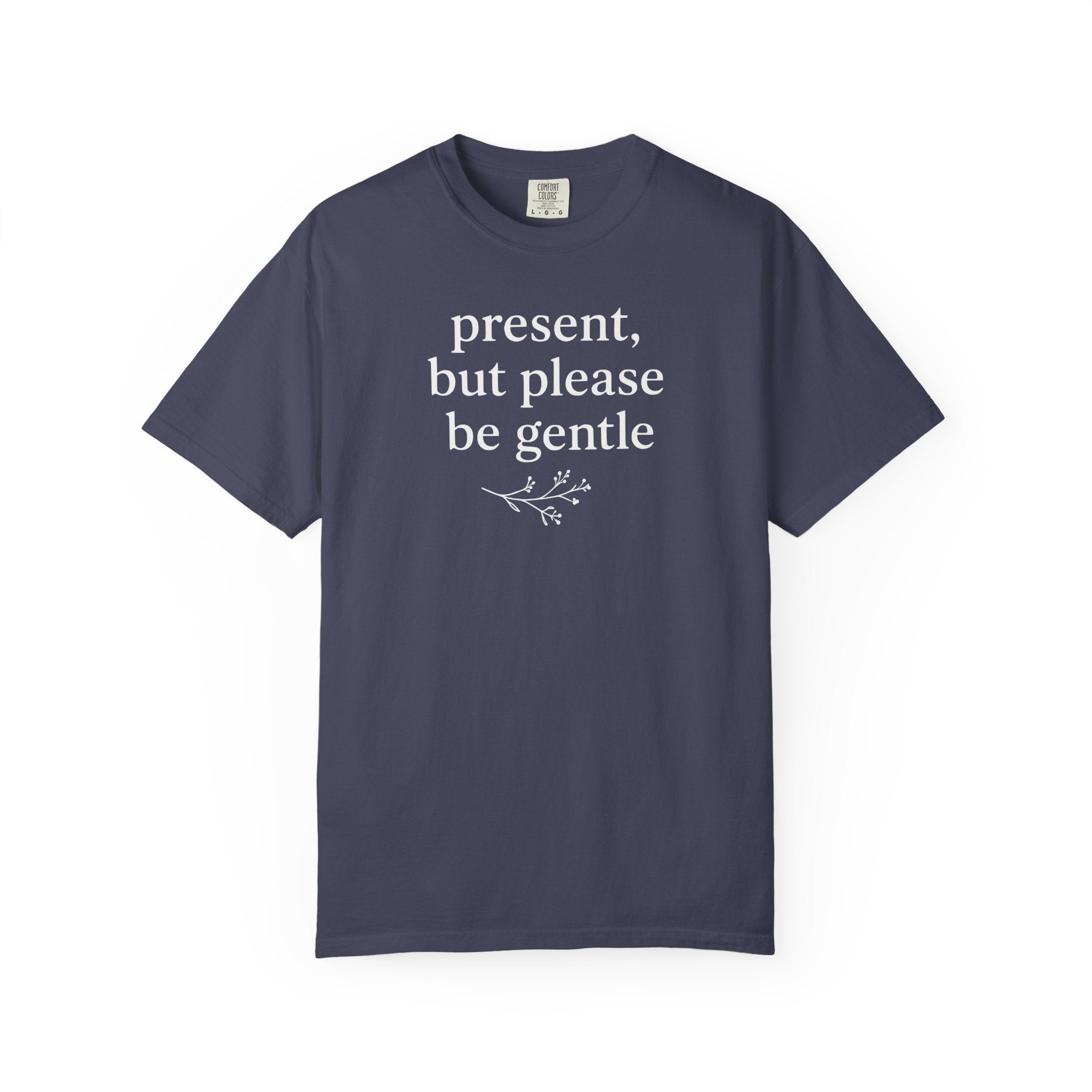 Present But Please Be Gentle T-shirt