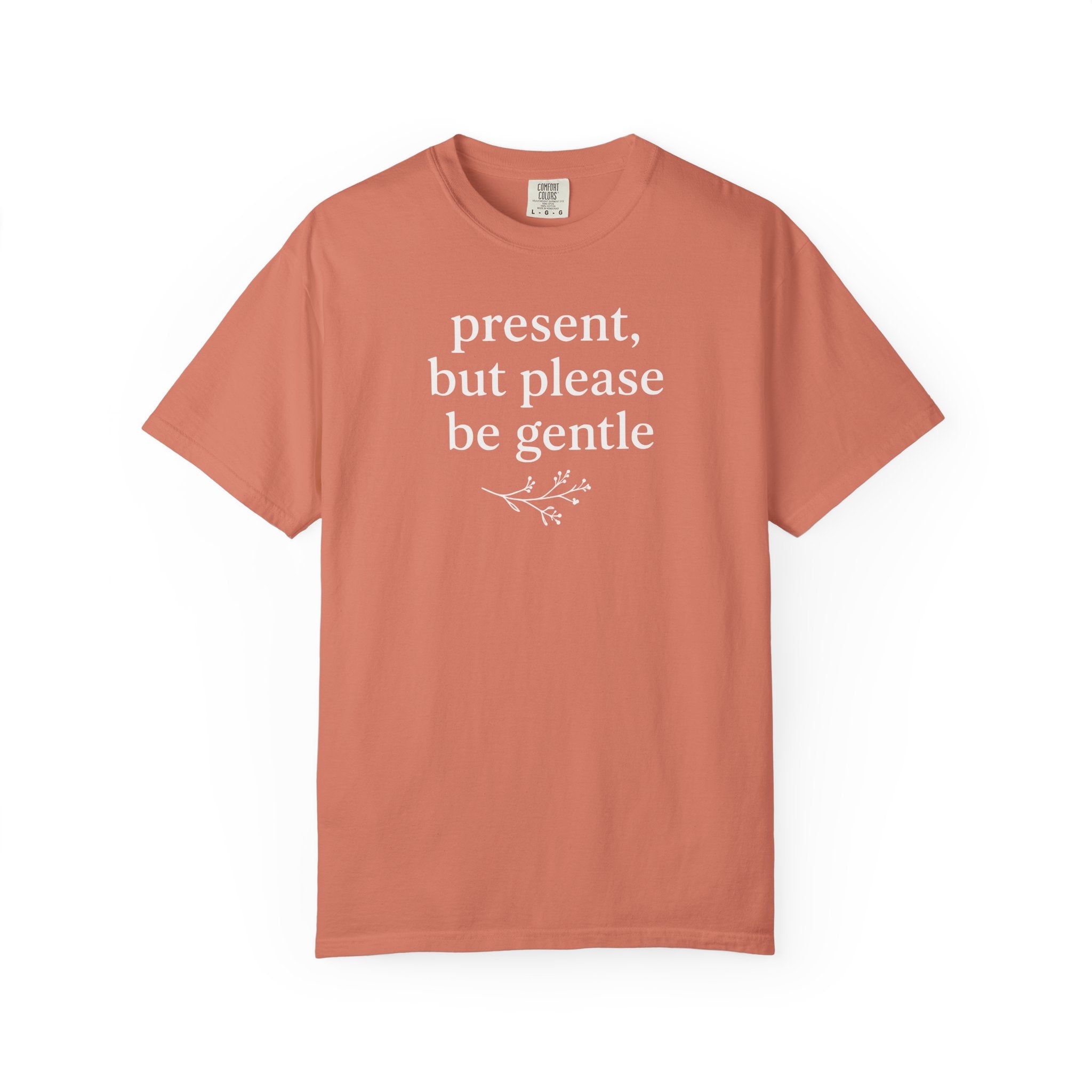 Present But Please Be Gentle T-shirt