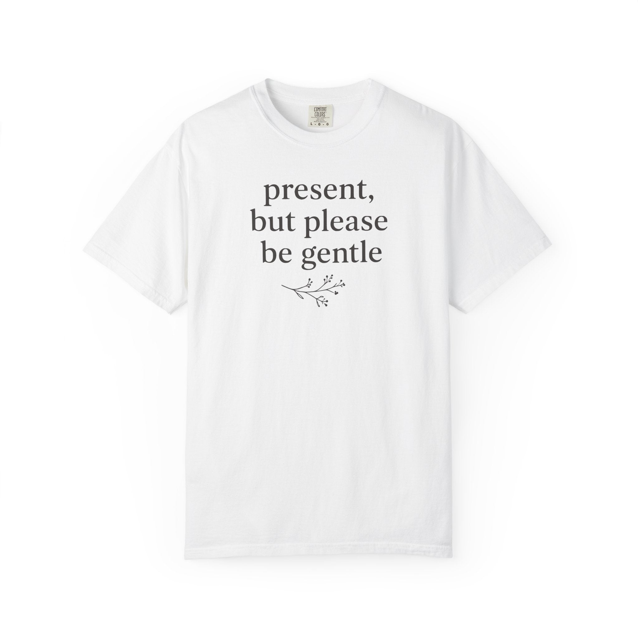 Present But Please Be Gentle T-shirt